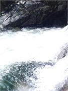 Tellico 26